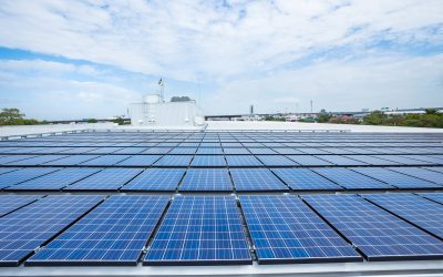 Energize Your Business by Switching to Solar Power
