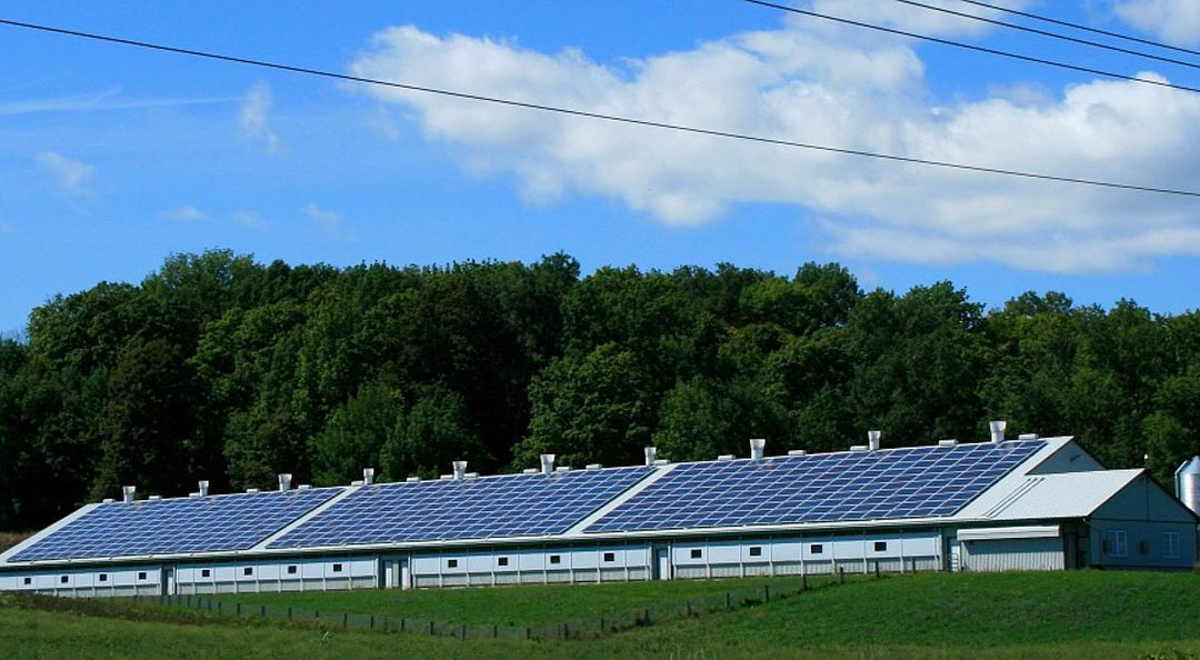 The Benefits of Running a Solar-Powered Business | Cedar Creek Energy