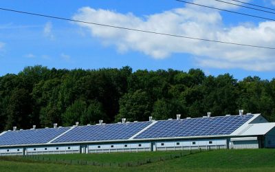 The Benefits of Running a Minnesota Solar-Powered Business