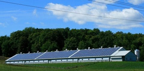 The Benefits of Running a Solar-Powered Business | Cedar Creek Energy