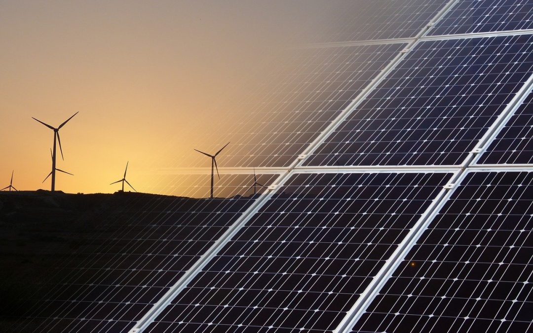 The Future of Renewable Energy: What's Next for Solar? - Cedar Creek Energy