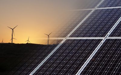 The Future of Renewable Energy: What’s Next for Solar?