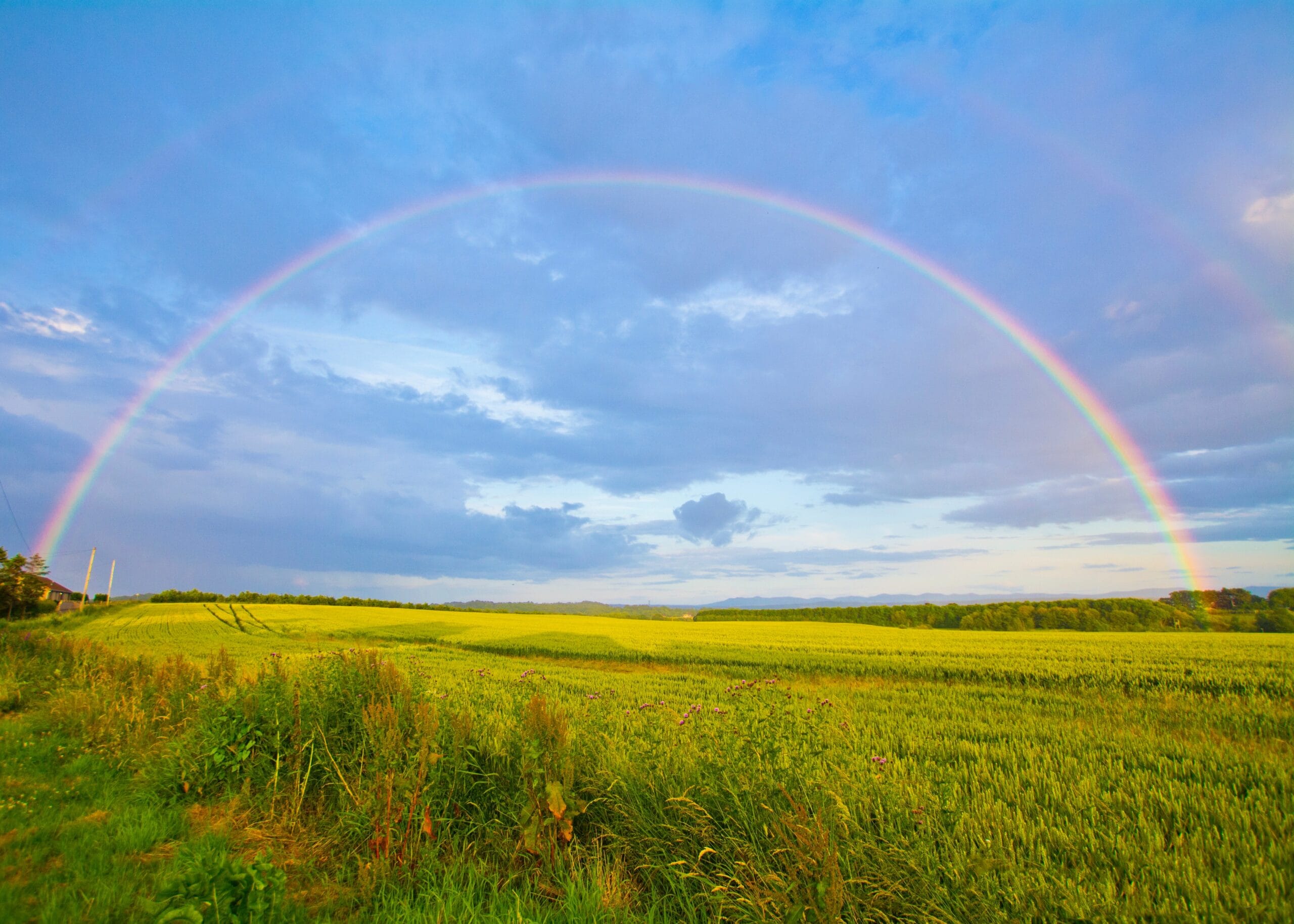 Weather the Storms with Solar Energy Storage