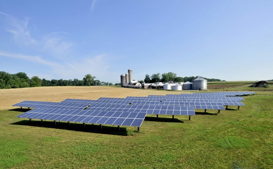 Solar panels installed on a ground, capturing sunlight -