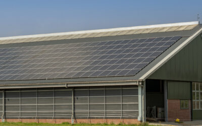 Sustainable Farming: Integrating Solar Panels with Agricultural Practices in Minnesota