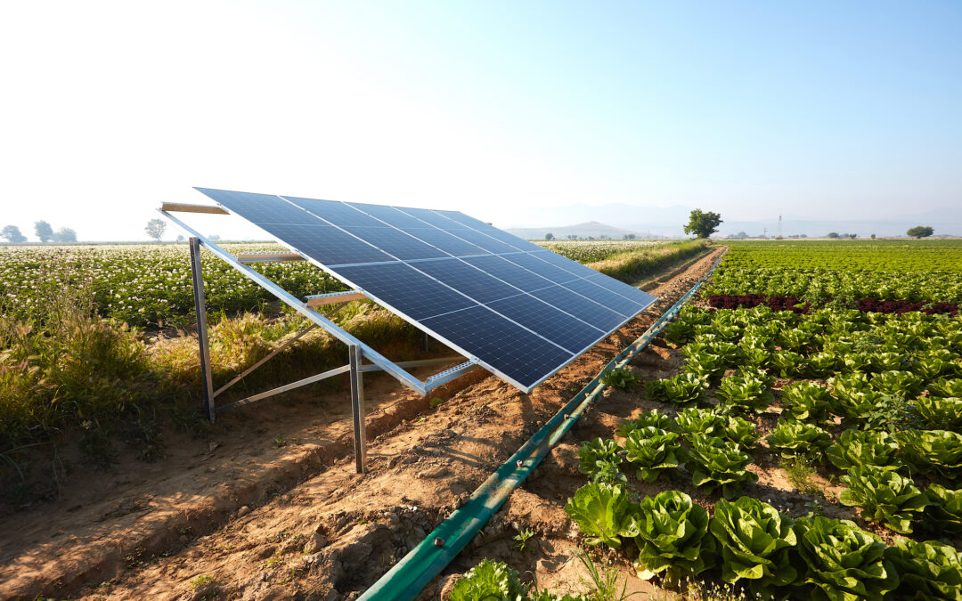 The Environmental Benefits of Solar Energy for Farmers -