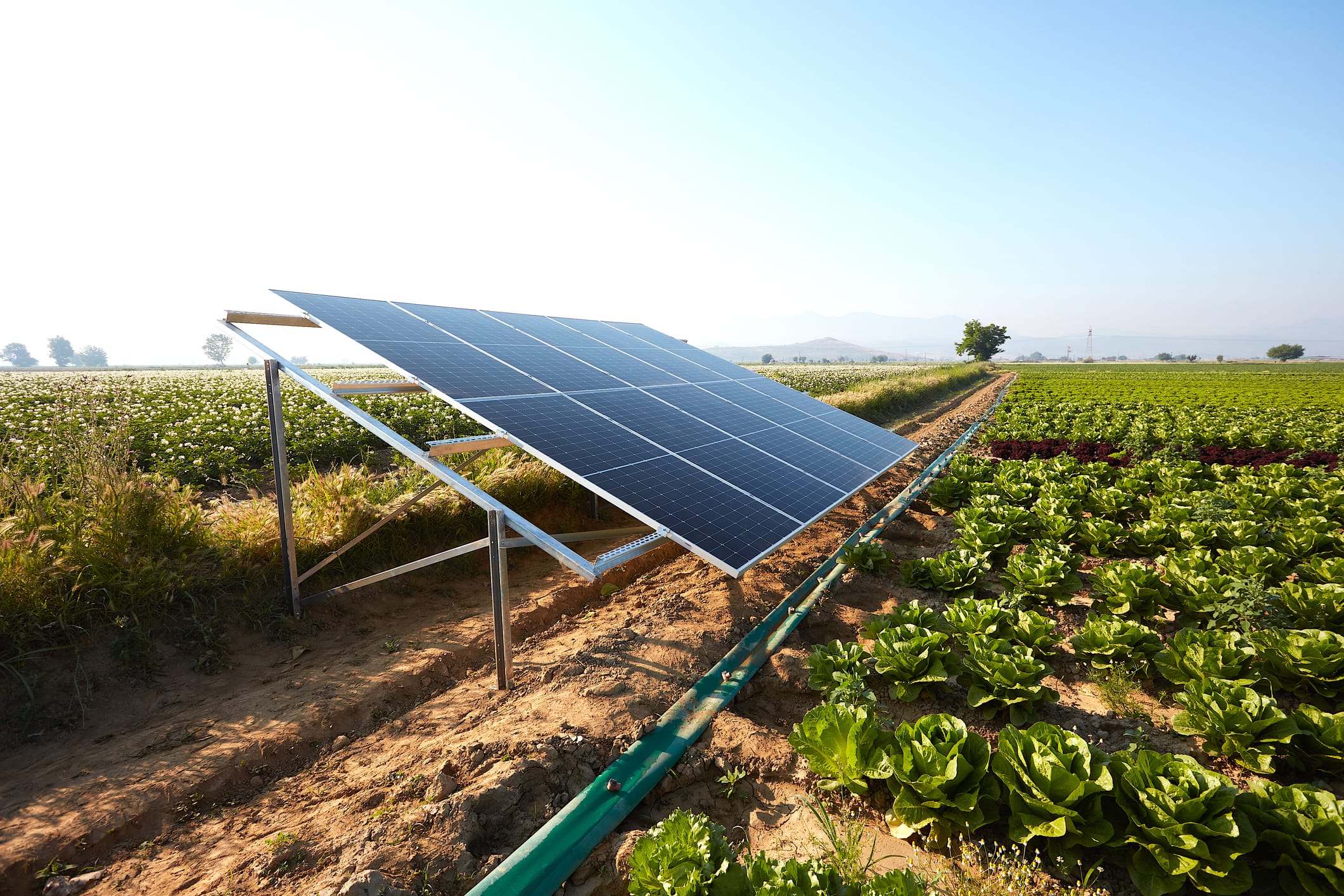 The Environmental Benefits of Solar Energy for Farmers -