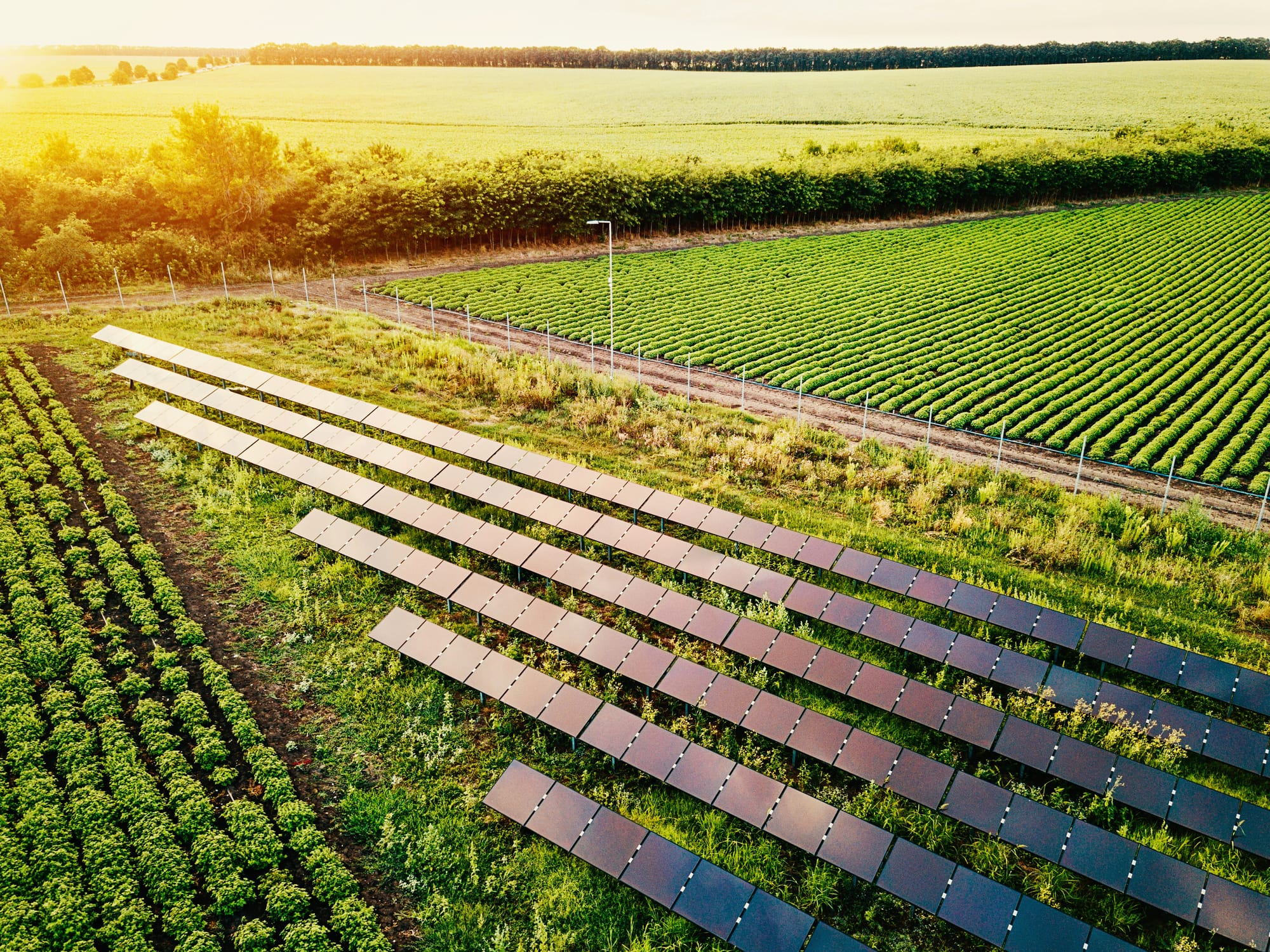 Solar Energy FAQs for Minnesota Farmers