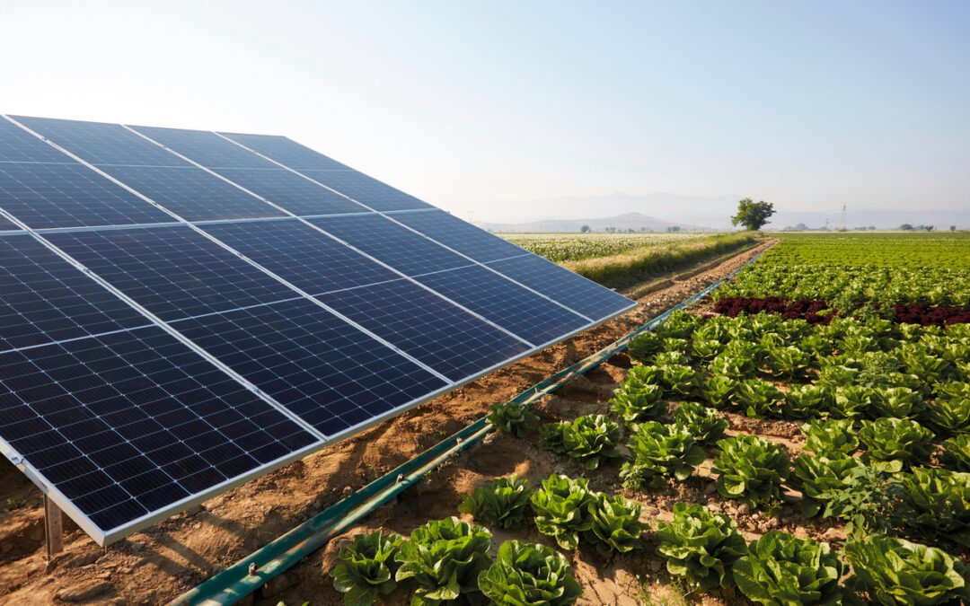 The Solar Installation Process for Farming and Agriculture: What to Expect