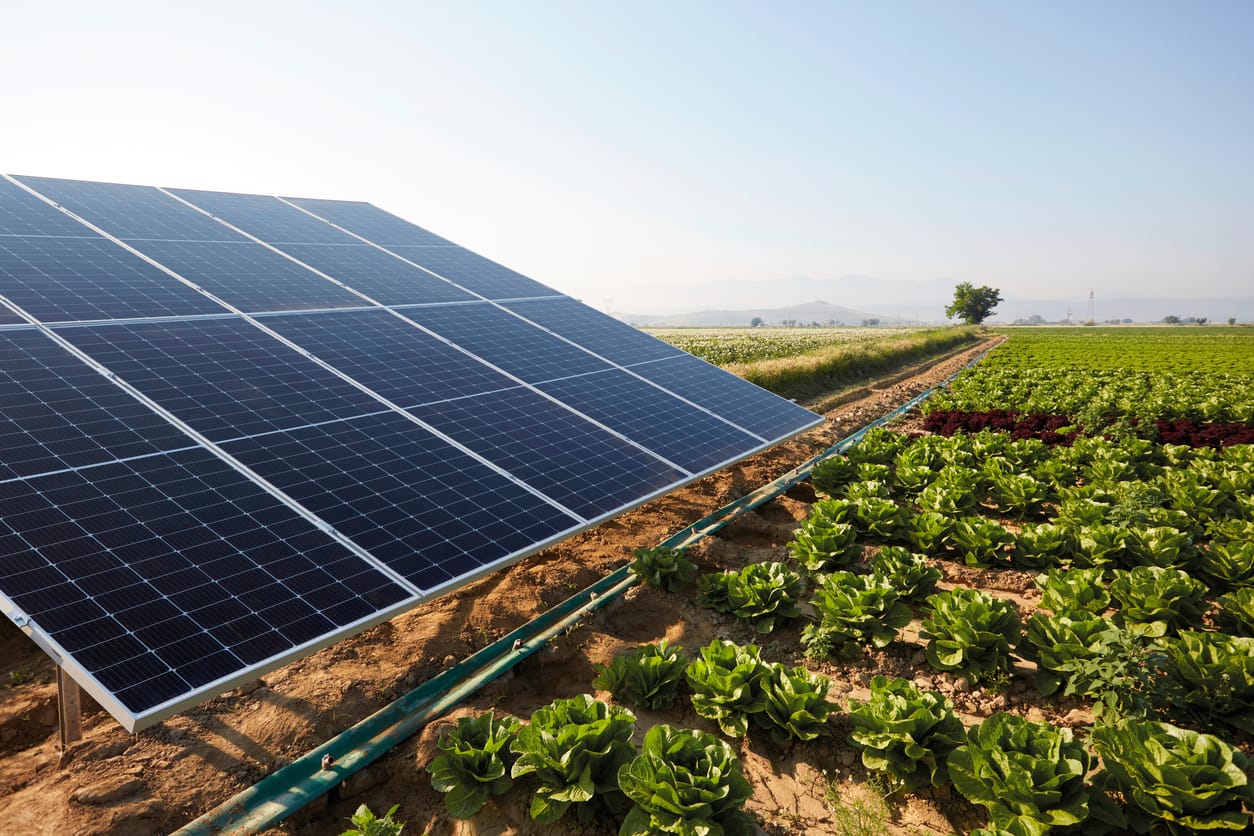 The Solar Installation Process for Farming and Agriculture: What to Expect