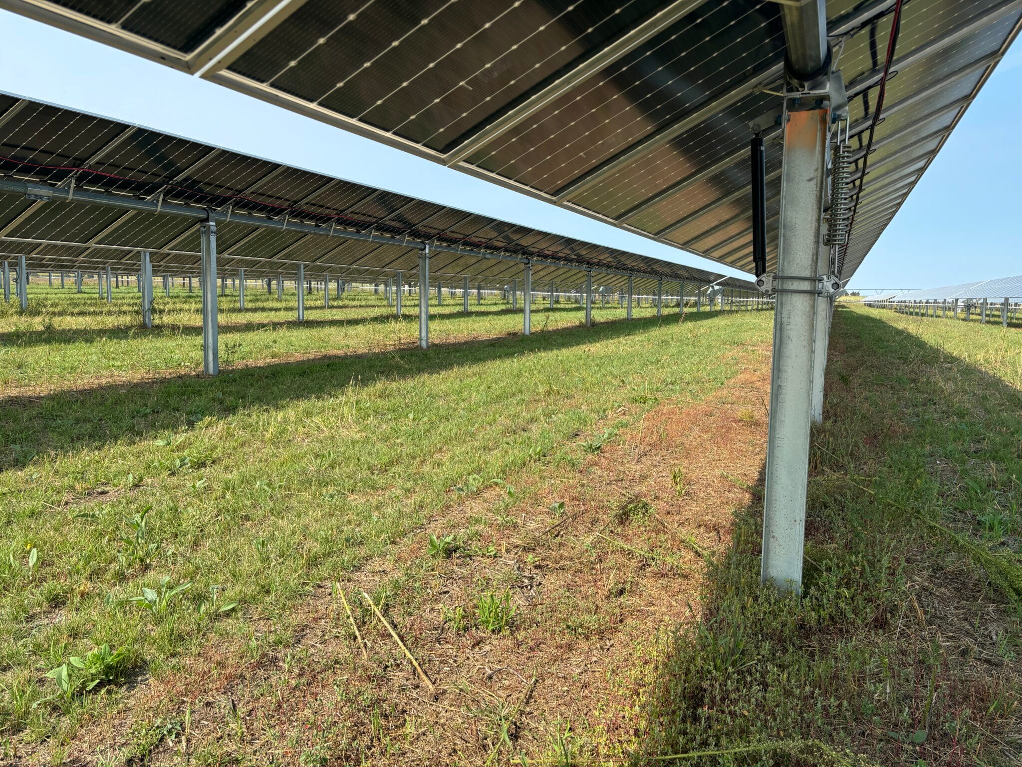 Clear Lake CSG - Solar Project