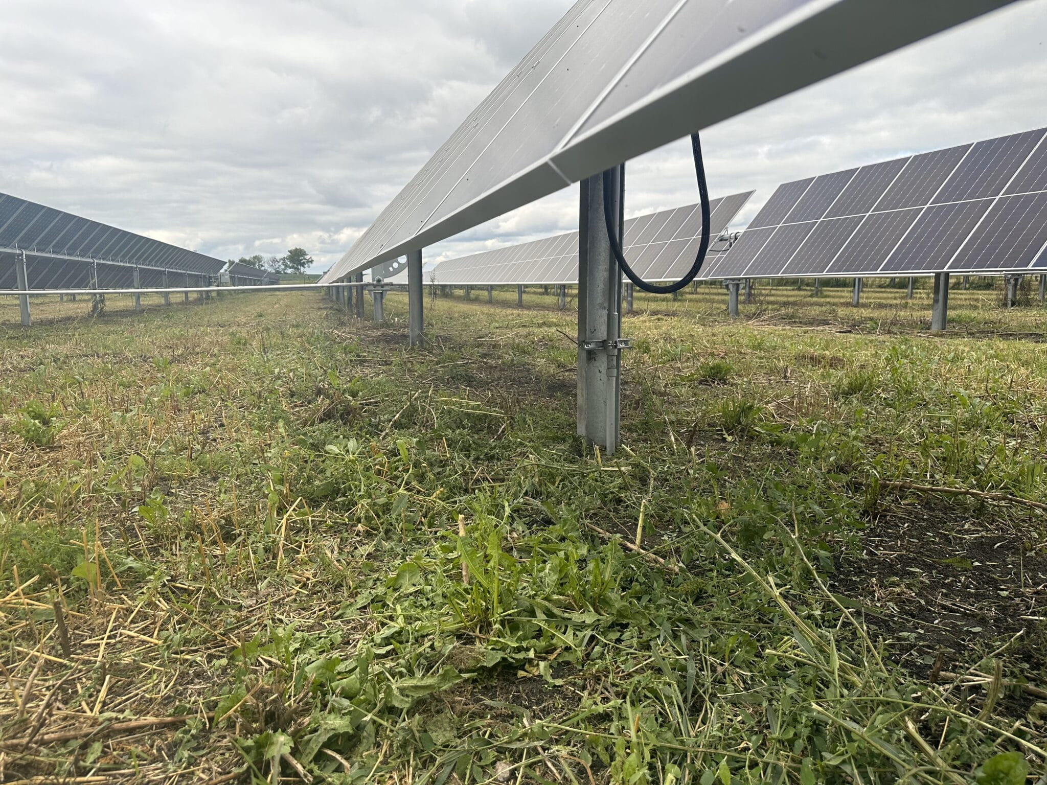 Belle Plaine CSG - Solar Project