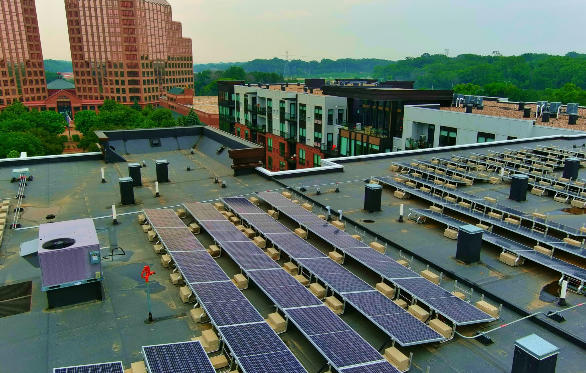 Amira Minnetonka - Case Study