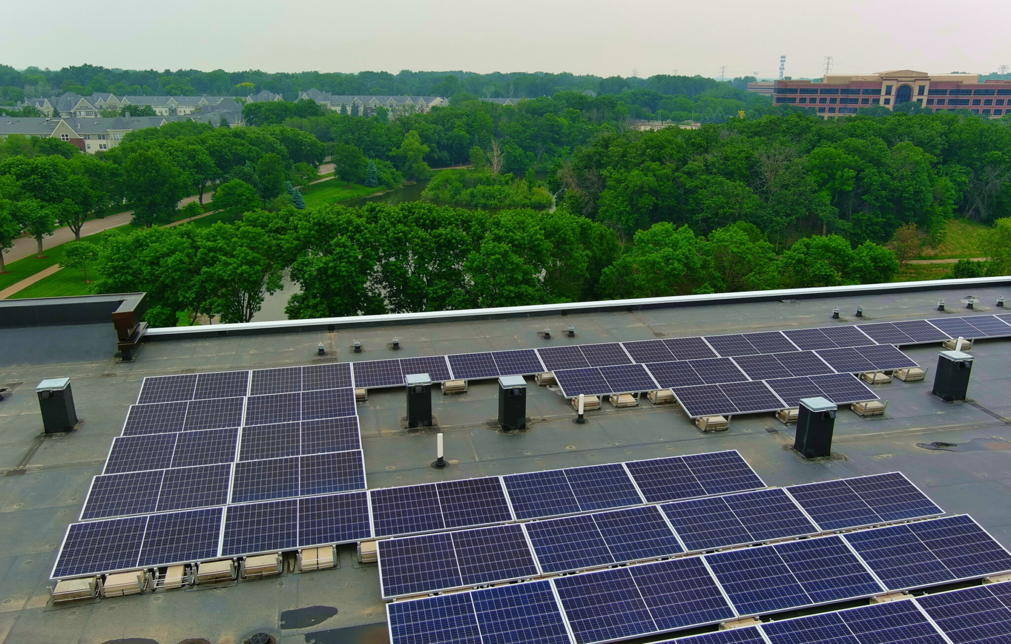 Amira Minnetonka - Case Study