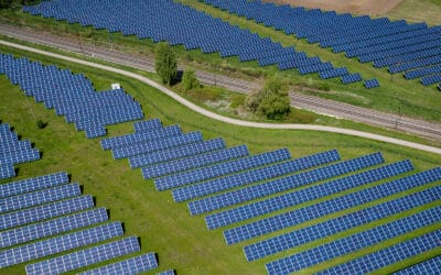 The Top 5 Reasons Businesses Are Going Solar in 2025